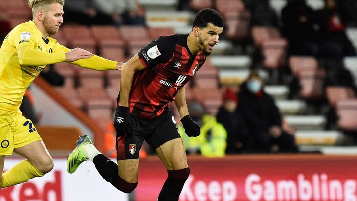 Доминик Соланке