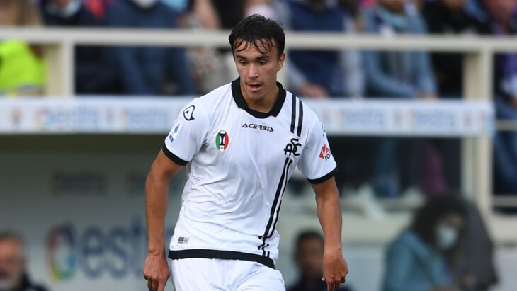 Давид Стрелец