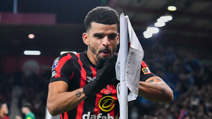 Доминик Соланке