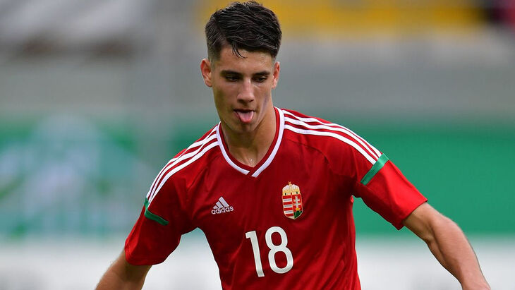 Доминик Собослаи