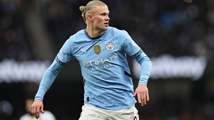 Эрлинг Холанн