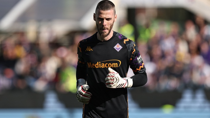 Давид Де Хеа («Фиорентина»)