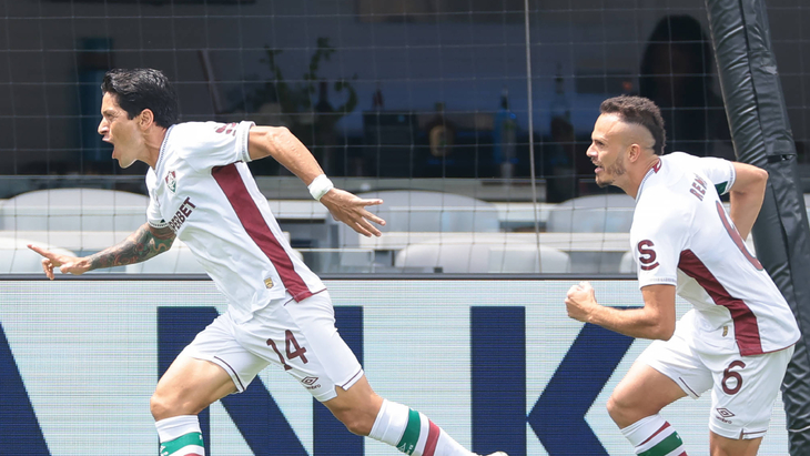 «Флумининсе»