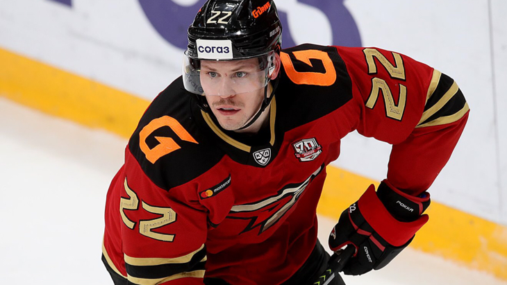 Вилле Покка