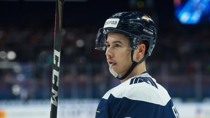 Николай Голдобин