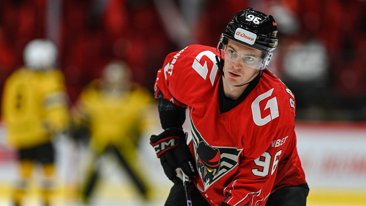 Дмитрий Рашевский