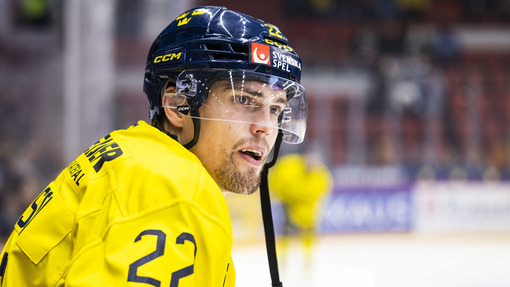 Швеция — Чехия. Прогноз и ставка на матч Прогноз на матч Швеция — Чехия