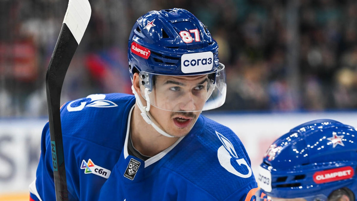 Николай Голдобин