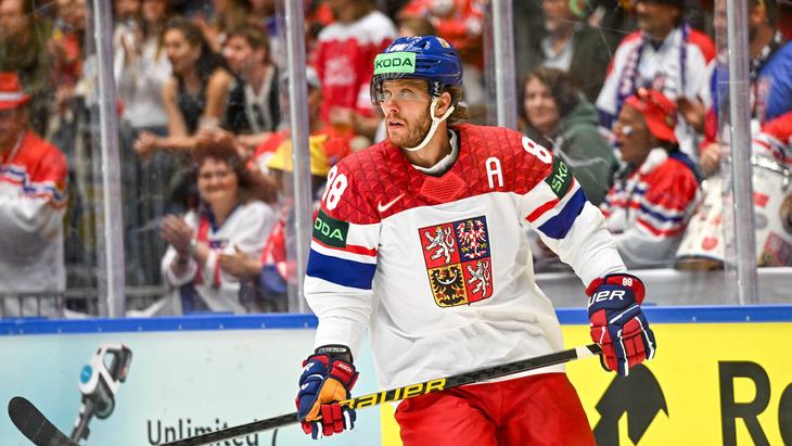 Давид Пастрняк