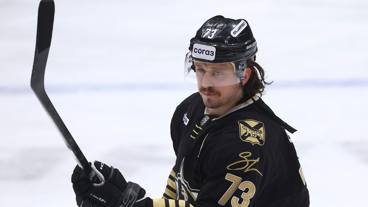 Либор Шулак