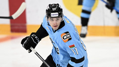 Виталий Пинчук