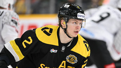 Владимир Грудинин