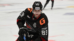 Александр Волков