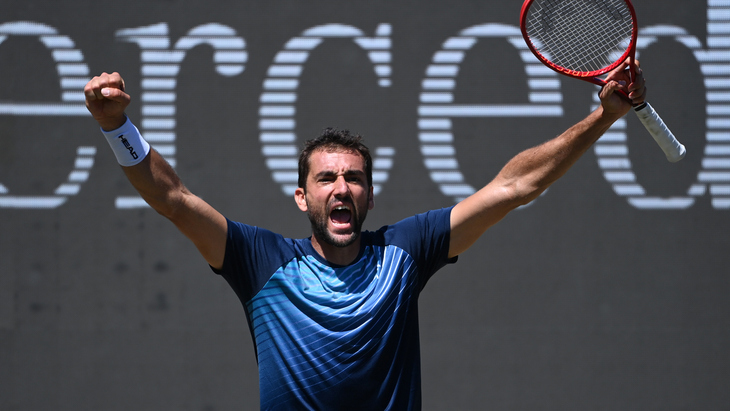 Марин Чилич