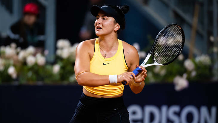 Бьянка Андрееску