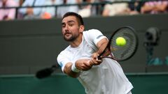 Марин Чилич